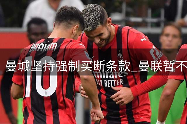 曼城坚持强制买断条款 曼联暂不考虑引进努里